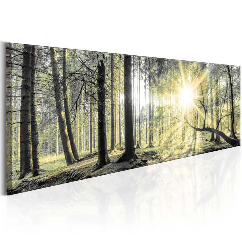 Seulement Aujourd’hui Schilderij - Morning Forest - 120x40