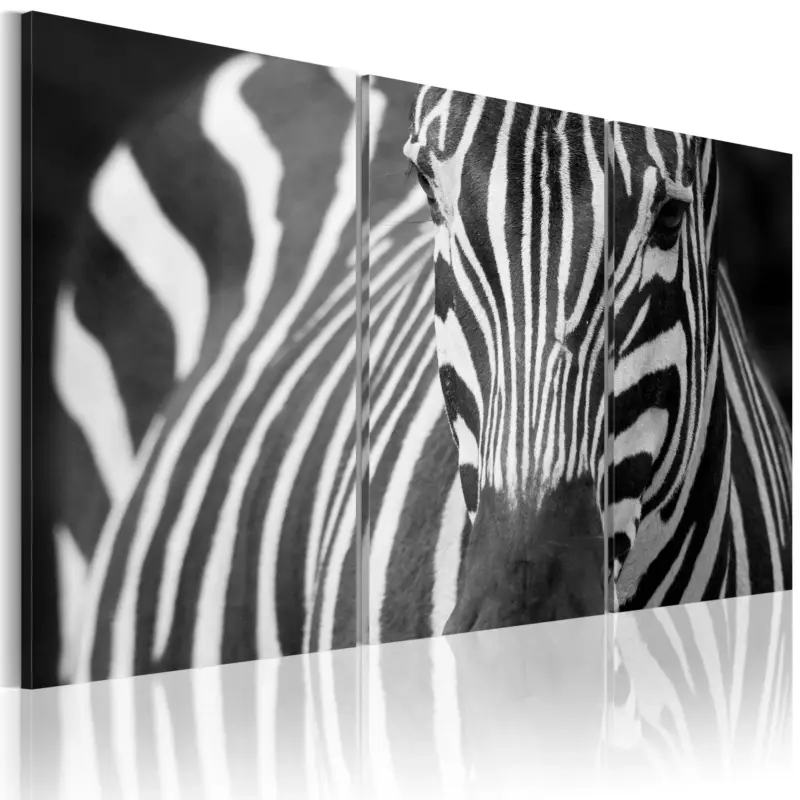 Top Vente Schilderij - Mevr. Zebra - 120x80