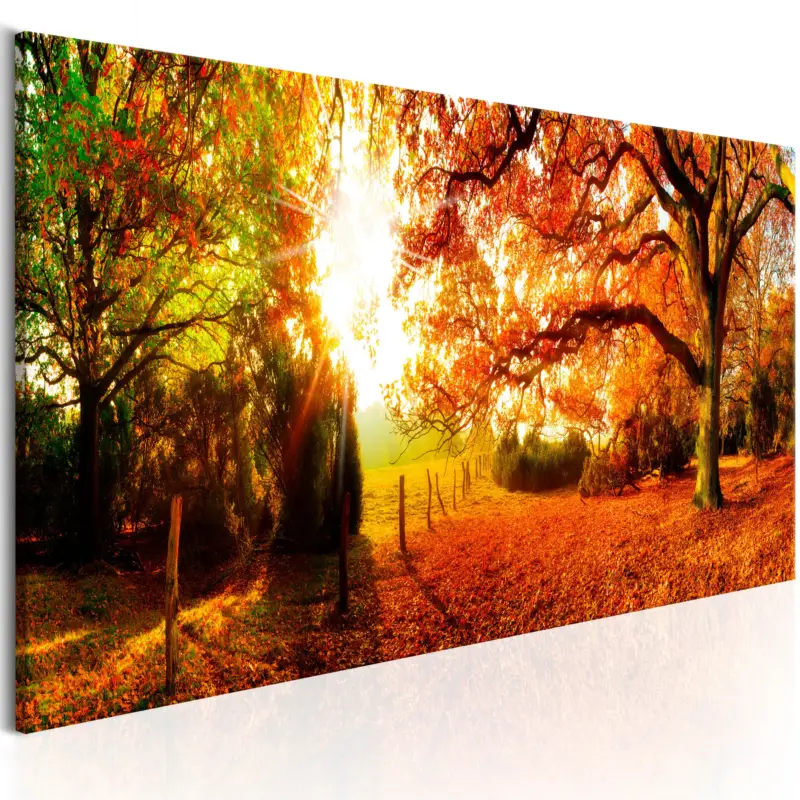 Seulement Aujourd’hui Schilderij - Magic of Autumn - 120x40