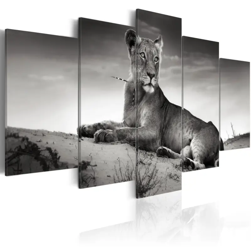 Super Prix Schilderij - Lioness in a desert - 100x50