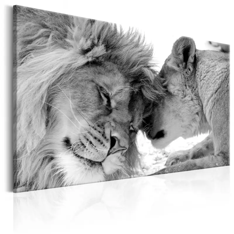 Achetez Aujourd’hui Schilderij - Lion's Love - 120x80