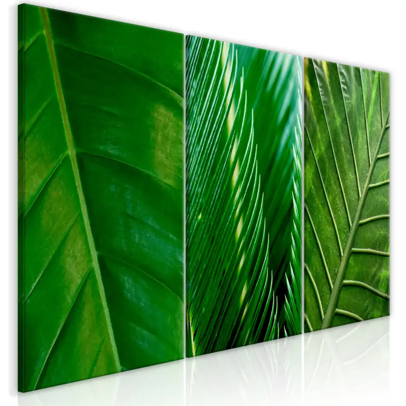 Soldes Schilderij - Leaves (Collection) - 120x60
