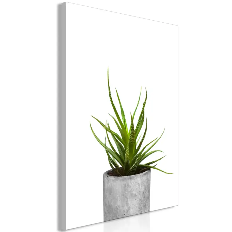 Authentique Schilderij - Haworthia (1 Part) Vertical - 60x90