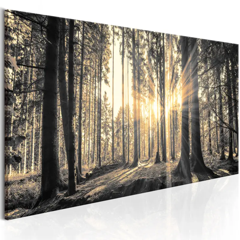 Affaire À Saisir Schilderij - Forest Sun - 135x45