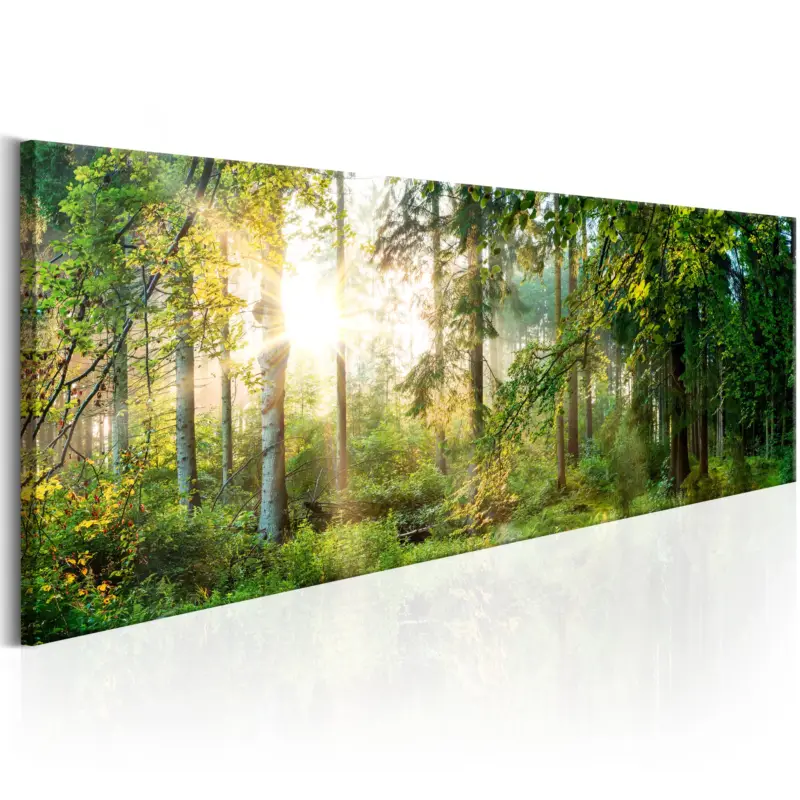 Top Vente Schilderij - Forest Shelter - 150x50