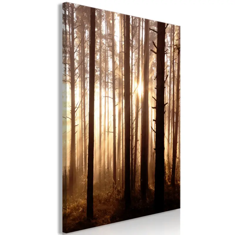 Bon Plan Schilderij - Forest Paths (1 Part) Vertical - 60x90