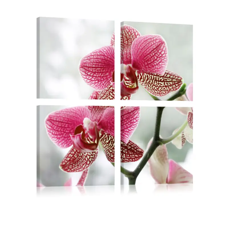 Vente Flash Schilderij - Fancy orchidee - 40x40