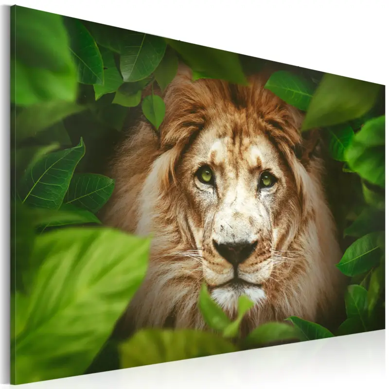 Acheter Direct Schilderij - Eyes of the jungle - 60x40