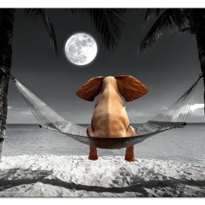 Achetez Aujourd’hui Schilderij - Elephant on a Hammock (1 Part) Wide - 120x80