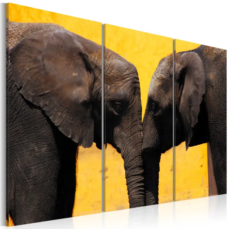 Bon Plan Schilderij - Elephant kiss - 90x60