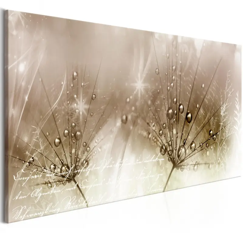 Commande En Gros Schilderij - Drops of Dew (1 Part) Brown Wide - 100x45