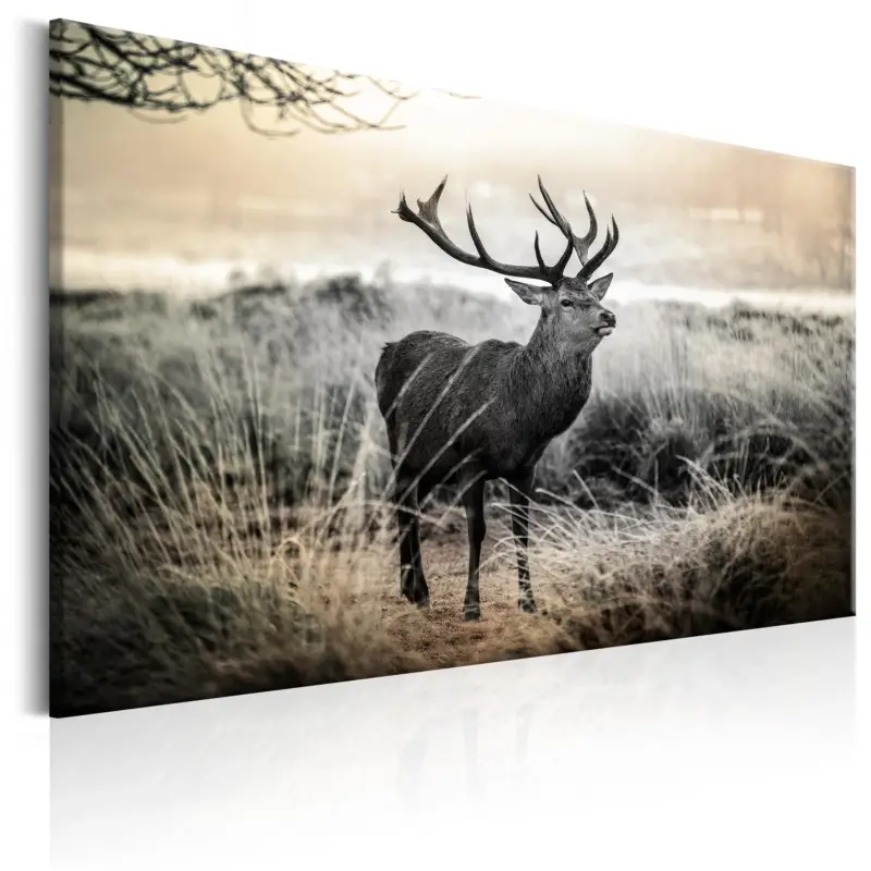 Vente Directe Schilderij - Dangerous Horns - 120x80