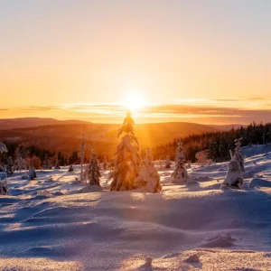 Zonsondergang over de winterlandschap posters & art prints door Carl-Johan Rådström - Premium Poster - 50x70 Meilleure Vente