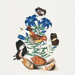 Achat Immédiat Rode Avadavat posters & art prints door James Bolton - Premium Poster - 50x70