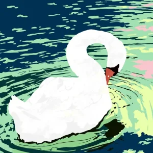 Zwaan Sereniteit posters & art prints door Uma Gokhale - Premium Poster - 50x70 Soldes