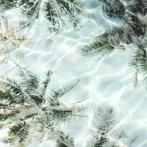 Zonnige Palm Reflecties posters & art prints door Gemma Bardot - Premium Poster - 50x70 Commander Vite