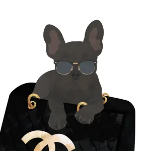 Achat Immédiat Chic hond: Franse bulldog met designerflair posters & art prints door Sarah Manovski - Premium Poster - 50x70