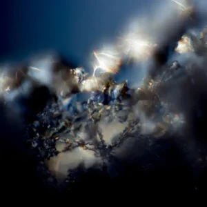 Achat Immédiat Synaps. posters & art prints door Spacefield - Premium Poster - 50x70