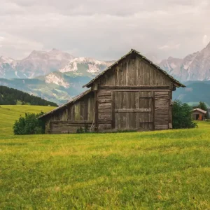 Achat Immédiat De grashut posters & art prints door Marcus Melander - Premium Poster - 50x70