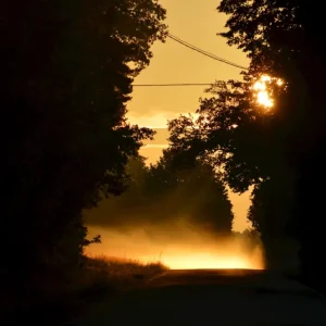 zonsopgang posters & art prints door Kerstin Jonsson - Premium Poster - 50x70 Satisfait Ou Remboursé