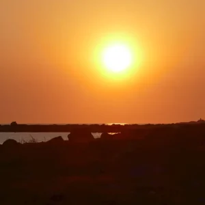 Zonsondergang posters & art prints door Lina Carlgren - Premium Poster - 50x70 Promotion Saisonnière