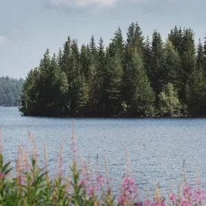 Zomer in Bergslagen posters & art prints door Malin af Kleen - Premium Poster - 50x70 Pas Cher