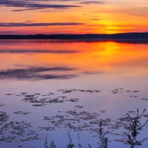 Zonsopgang op het meer posters & art prints door lankinen janne - Premium Poster - 50x70 Vente Directe