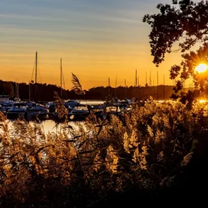 Zonsondergang op Värmdö posters & art prints door Jonas Norén - Premium Poster - 50x70 Nouvel Arrivage