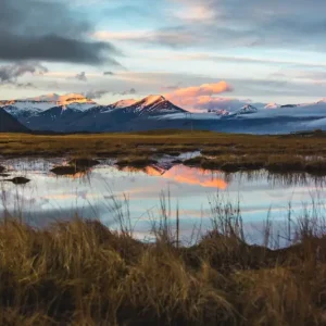 Zonsondergang bij Hornafjörður posters & art prints door Phillip Gow - Premium Poster - 50x70 Marque