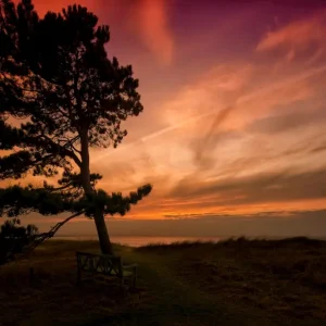 Zonsondergang in Kullabygden! posters & art prints door Conny Persson - Premium Poster - 50x70 Vente Directe