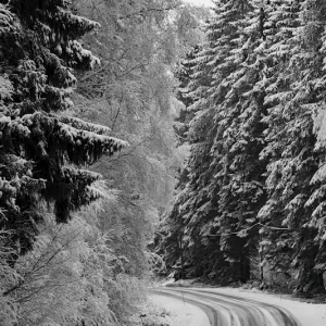 winter posters & art prints door Helena Hakulinen - Premium Poster - 50x70 Quantité Limitée