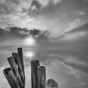 Acheter Direct Gepost posters & art prints door Per Willington - Premium Poster - 50x70