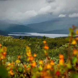 Wolken boven Tornehamn posters & art prints door Johan Bernes - Premium Poster - 50x70 Solde