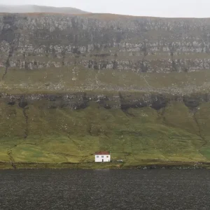 Achat Immédiat Helemaal alleen thuis posters & art prints door Andreas Raun - Premium Poster - 50x70