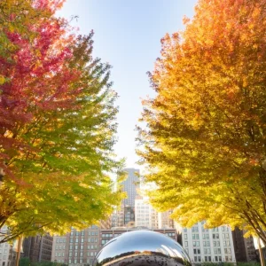 Wolk in technicolor posters & art prints door Esteban Soto - Premium Poster - 50x70 Achetez Aujourd’hui