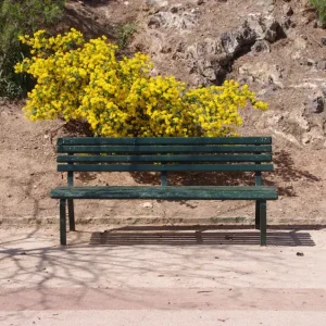 Zonneschijn en gesprek posters & art prints door Tommy Reinholdsson - Premium Poster - 50x70 Dernière Chance