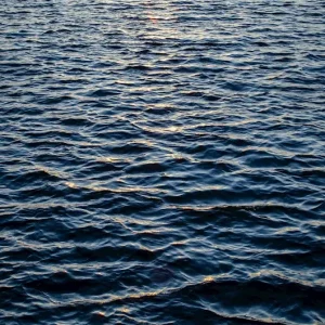 Zee posters & art prints door Johanna Olausson - Premium Poster - 50x70 Soldes