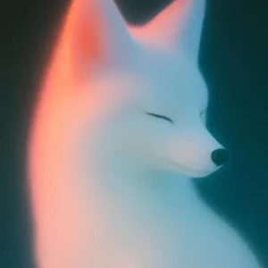 Witte vos posters & art prints door Jansen - Premium Poster - 50x70 Offre Exclusive