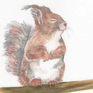 Achat Immédiat Ontspannen eekhoorn posters & art prints door Julia Behrends - Premium Poster - 50x70