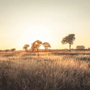 Zonsondergang posters & art prints door Evelina Holmqvist - Premium Poster - 50x70 Livraison Express