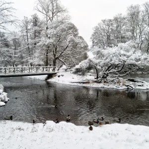 Winter in the City Garden posters & art prints door Anders Jonsson - Premium Poster - 50x70 Super Prix