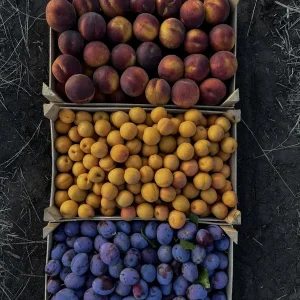 Zomer in de handen van de herfst posters & art prints door Maria Cusnir - Premium Poster - 50x70 Prix Cassé