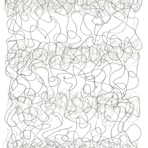 Abstract Tangle: De Kunst van Chaos posters & art prints door Isabelle Brent - Premium Poster - 50x70 Satisfait Ou Remboursé