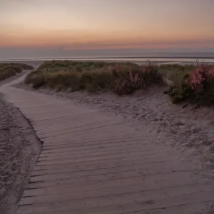 Achat Immédiat De weg naar de zonsondergang posters & art prints door Stephan Sühling - Premium Poster - 50x70