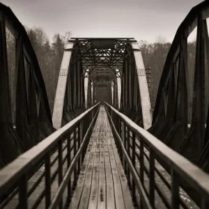 Zwarte brug posters & art prints door Elin Ragnarsson - Premium Poster - 50x70 Bon Plan