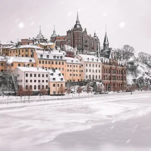 ZUIDELIJKE WINTER! posters & art prints door Daniel McCarthy - Premium Poster - 50x70 Petit Prix