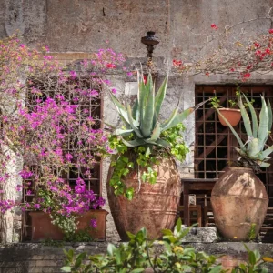 Acheter Direct Een achtertuin in Rome posters & art prints door Lisbeth Pettersen - Premium Poster - 50x70