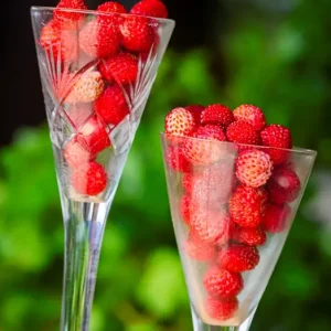 Achat Immédiat Klein maar fijn - zomerse smaak posters & art prints door Kim Carlson - Premium Poster - 50x70