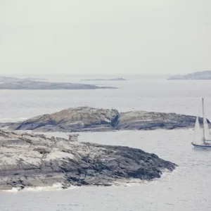 Zeilboot in de Zweedse archipel posters & art prints door Camilla Nørregaard - Premium Poster - 50x70 Achetez Aujourd’hui