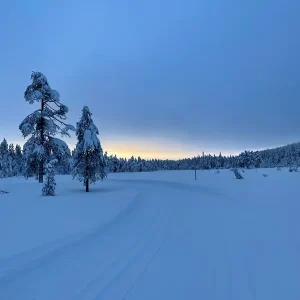 Zonsopgang boven winterparadijs posters & art prints door Sanna - Premium Poster - 50x70 Vente Flash